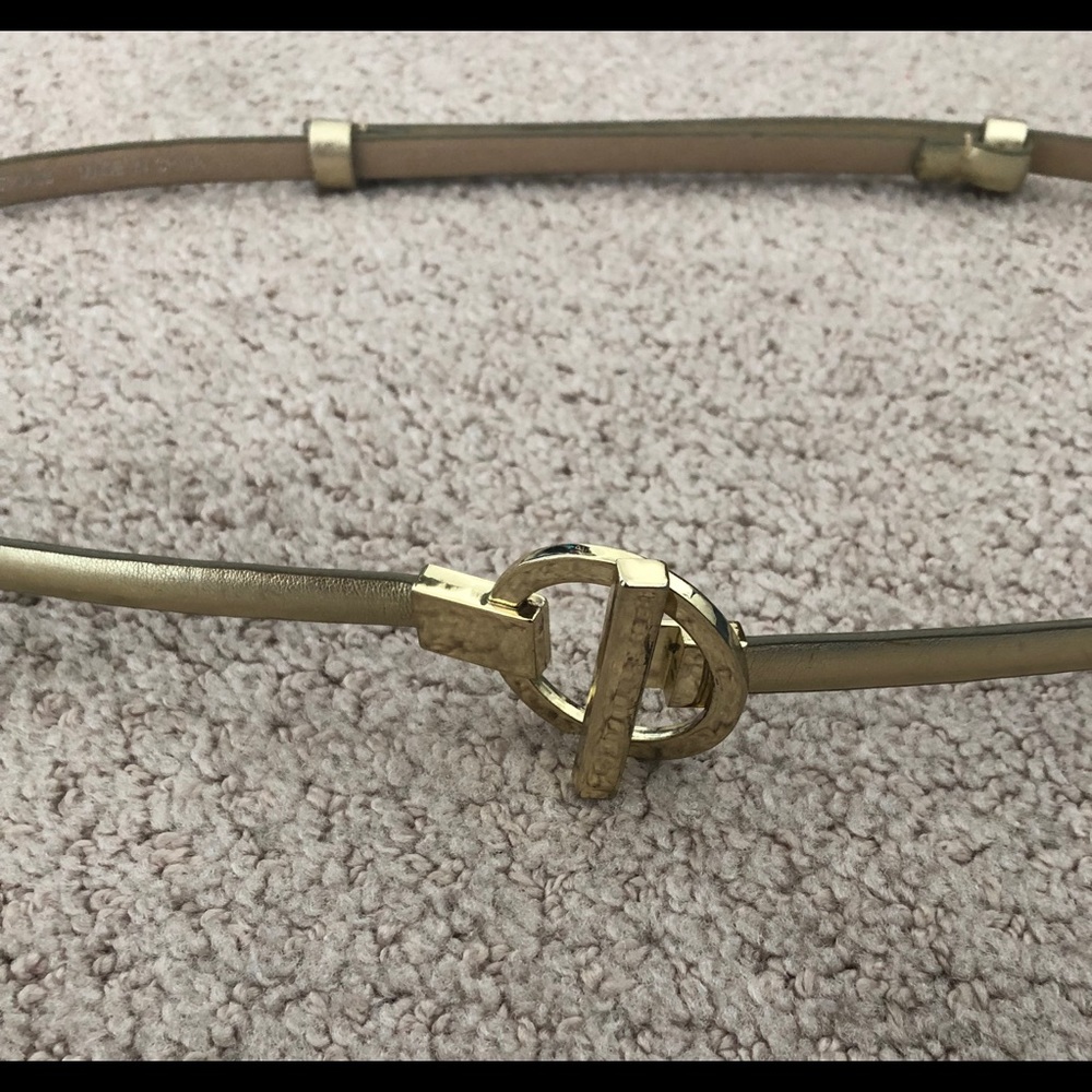Express Gold Belt